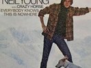 Vtg NEIL YOUNG Album EVERYBODY KNOW THIS IS NOWHERE Lp RS 6349 OG VINYL is MINT
