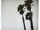 The Twilight Singers Blackberry Belle White Vinyl 1st Pressing