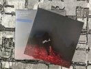 Phoebe Bridgers - Punisher SEALED Vinyl and SIGNED PRINT - Peacock Splash RARE