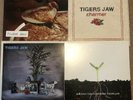 Tigers Jaw Record Lot