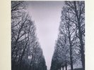THE FEELIES - In Between (Vinyl LP, 2017) **NEW**