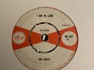 RIOTS - When you`re Wrong  // BOSS SOUNDS // ROCKSTEADY // SKINHEAD REGGAE
