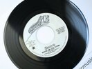 ORIGINAL 1971 PROMO THE DOORS RIDERS ON THE STORM CHANGELING 7 INCH VINYL RARE