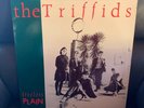 THE TRIFFIDS.    