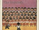 Raincoats The Raincoats vinyl LP album record UK ROUGH3 ROUGH TRADE 1979