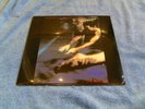 Siouxsie And The Banshees - The Scream VINYL LP Half Speed SATBLP01 Sealed New