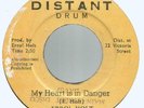 ERROL HOLT - MY HEART IS IN DANGER / DANGER ZONE            7