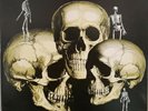 Skull Snaps LP Mr. Bongo Issue Funk Soul Samples Drum Breaks