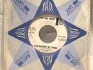 northern soul BIG DEE IRWIN 
