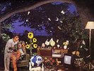 World Party Private Revolution UK vinyl LP album record CHEN4 CHRYSALIS 1986