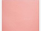 SUNNY DAY REAL ESTATE - LP2 // Vinyl LP limited on Clear/Pink Swirl