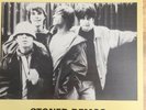 the stone roses