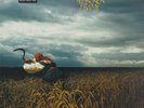 Depeche Mode ?– A Broken Frame  (LP)