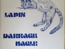 DARRAGH NAGLE & DEREK FULLER Lapis LP Top 1970s Hippie Folk—Rare Private HEAR