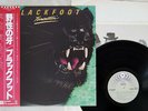 BLACKFOOT TOMCATTIN' ATCO P-10838T Japan OBI VINYL LP