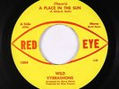 Garage/Fuzz 45 - Wild Vybrashons - (There's) A Place In The Sun - Red Eye - mp3