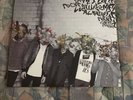 Local Natives - Gorilla Manor Vinyl