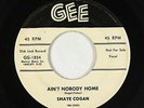 R&B Jazz Popcorn 45 - Shaye Cogan - Ain't Nobody Home - Gee - mp3