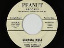 R&B Rocker 45 - Nobel Watts & June Bateman - Georgia Mule - Peanut - mp3