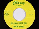 Teen 45 - Wayne Rozell - Go Away Little Girl - Charay - VG+ mp3