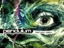 PENDULUM - Hold Your Colour - (VINYL + 3) **USED**