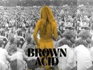 Brown Acid: The Tenth Trip (Heavy Rock From The Underground Comedown NEW Vinyl
