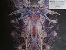 Cynic ?– Traced In Air _ Silver Vinyl LP _prog metal