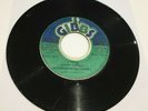 Dennis Brown & Dhaima A True/Nu True 1978 Joe Gibbs Roots Reggae ex con