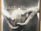 LP Lamb 2003: Between Darkness and Wonder, Trip Hop