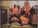THE FLAMIN GROOVIES: Teenage Head UK DOJO 58 Psych Rock LP NM Vinyl