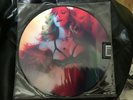 Madonna Girl Gone Wild Picture Disc