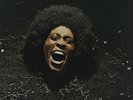 Funkadelic-Maggot Brain Vinyl / 12