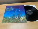 DSCHINN FIZZ KRAUTROCK PRIVATE PRESS in 1981 MINT