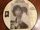THE DOORS JIM MORRISON LP ROCK IS DEAD FROG RECORDS PSYCH ROCK PICTURE DISC