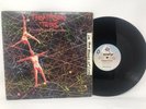 Thompson Twins ?In The Name Of Love Vinyl Record 12