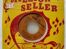 Million Seller GORDON LIGHTFOOT 
