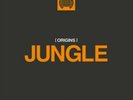 ORIGINS OF JUNGLE MINISTRY OF SOUND
