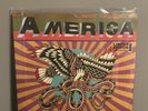 Sufjan Stevens America / My Rajneesh 12 inch vinyl single (in hand)