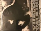 Viktor Vaughn (MF Doom) - Vaudeville Villain - 2 LP Vinyl (Sound-Ink, 2003)