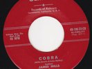 Bailey's Nervous Kats - Cobra/Northwind + Custom PS