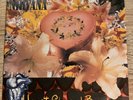 Heart-Shaped Box [Single] by Nirvana 7