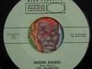 HEAR Gamblers 45 Moon Dawg  / LSD-25 surf tittyshaker garage rocker instrumental