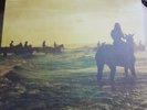 FOALS : HOLY FIRE : Preowened  And UNSEALED VINYL LP