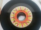 TEDDY and THE ROUGH RIDERS - Money and Gold - 45 rpm - Huron 22008 Garage Rocker