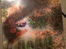 Pink Floyd ?– A Saucerful Of Secrets Vinyl LP UK Mono 1st Press VGP/VGP