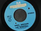 WINSTONS: Amen, Brother / Color Him Father 45 (2 drill holes, tol, almost VG)