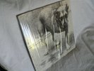 Alice in Chains - Alice In Chains Tripod Dog Album LP 1st Press NM VINYL RECORD