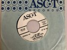 The Echoes | Paper Roses, I Love Candy 45 RPM promo vinyl record - EX - RARE