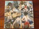 Panda Bear. Person Pitch. NM- Indie Rock Colored LP. Animal Collective