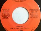 Private Rock/Prog - Imagine - Just A Dream / Flight 491 To Nowhere - HEAR